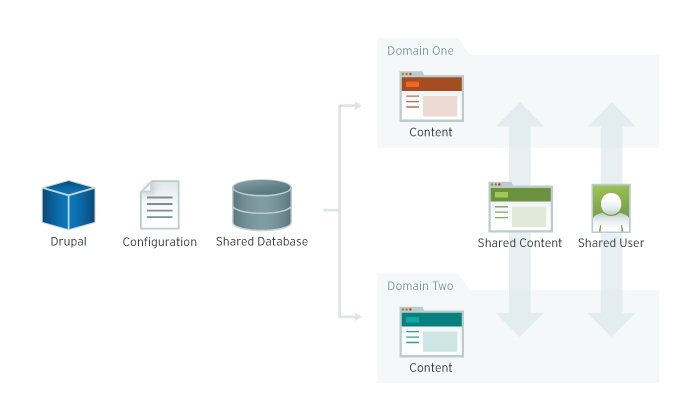 Infographic describing a domain access system