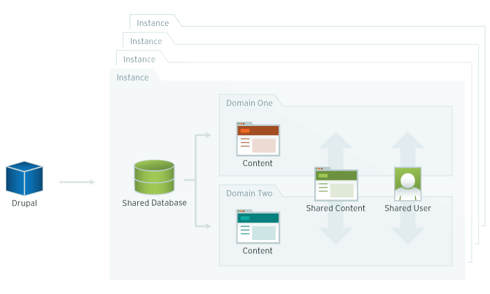 Infographic describing an multisite domain access system