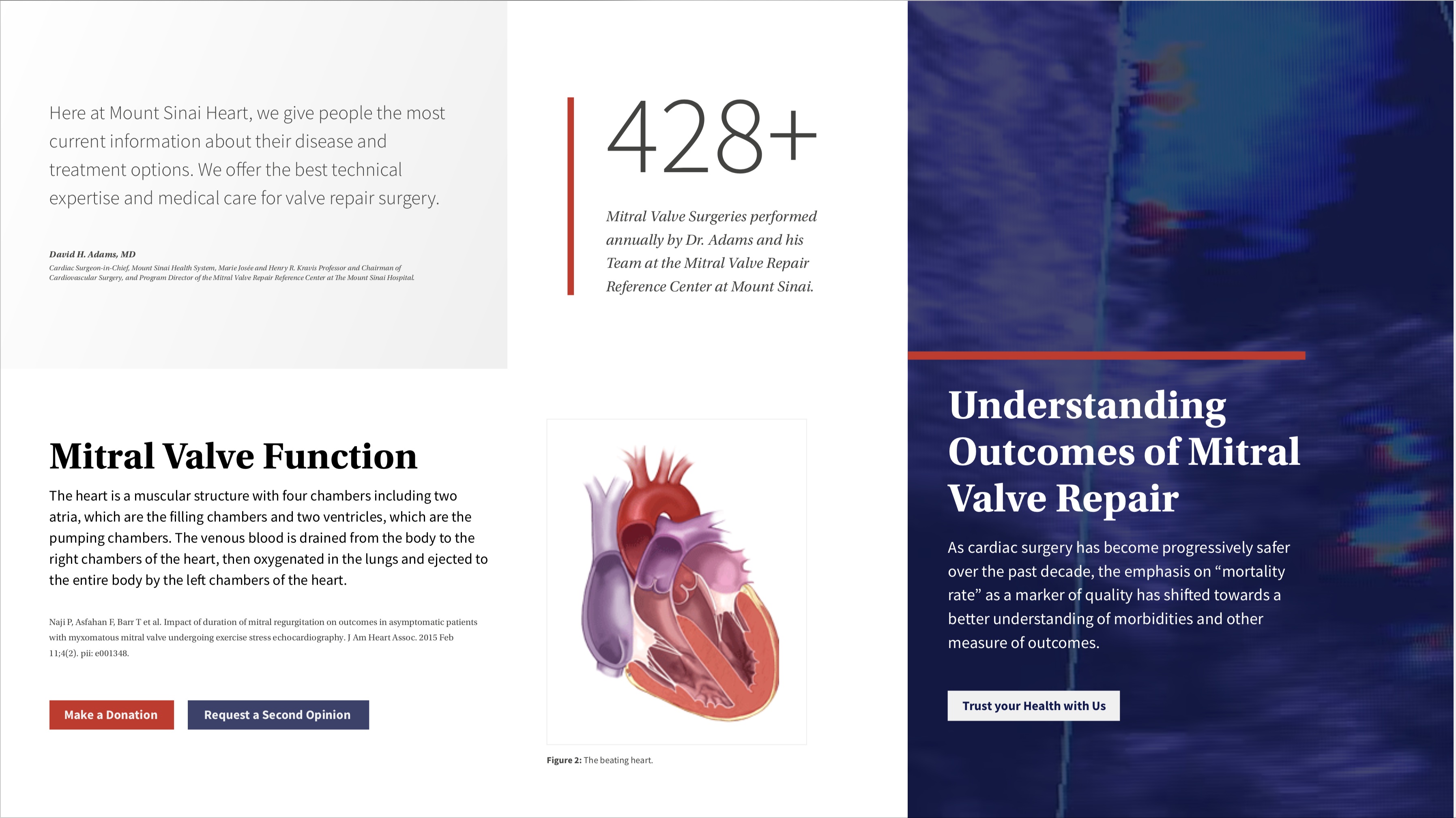 Style tile with different examples of content in different type faces with illustration of beating heart