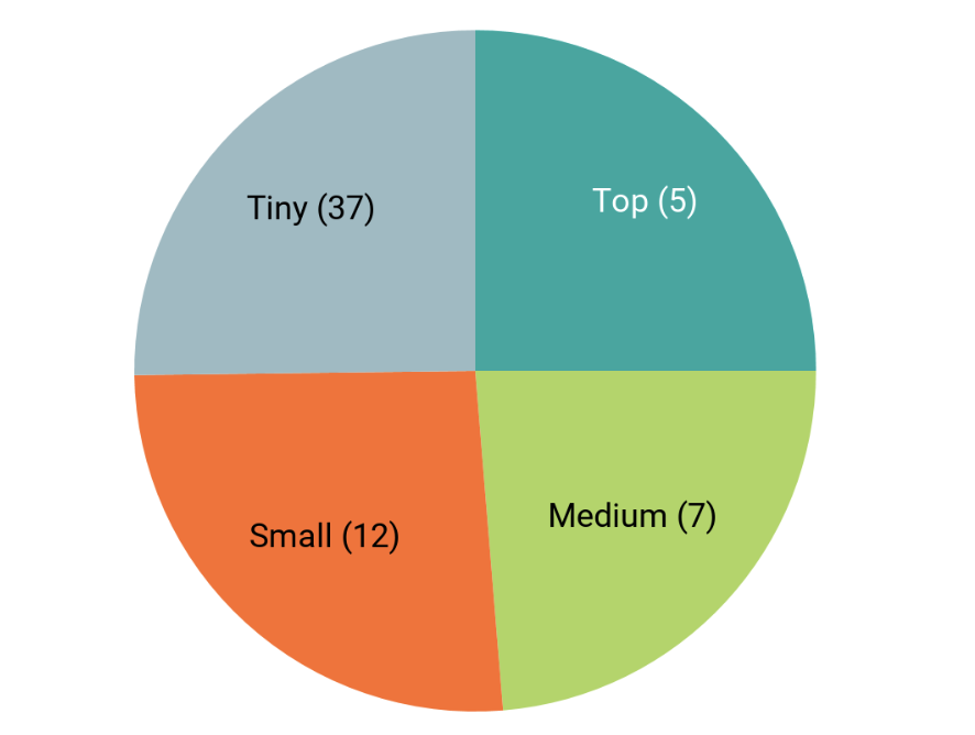 Chart showing division of tasks: Tiny (37), Top (5), Small (12), Medium (7)