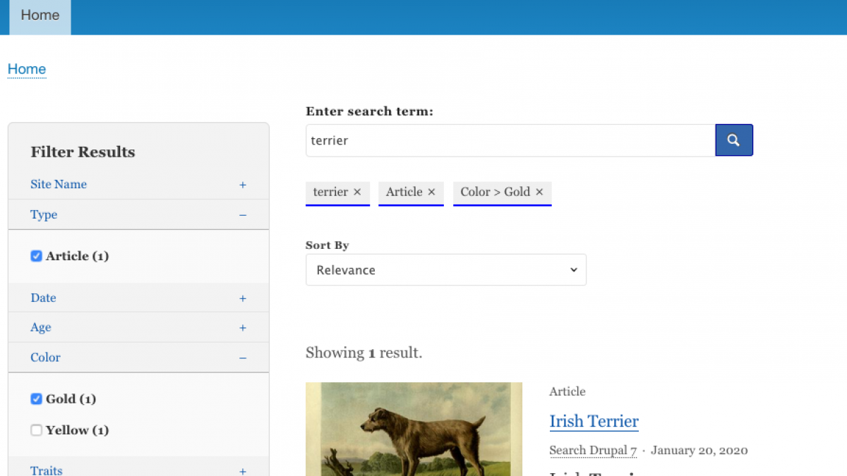 Federated Search screenshot showing results for an article about an Irish Terrier