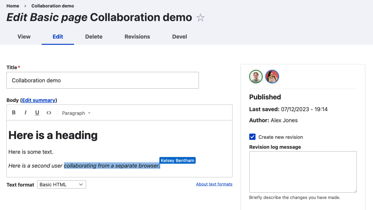 Screenshot of collaborative editor interface
