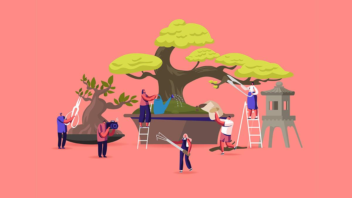 An illustration of several people collaboratively tending to oversized bonsai trees in large pots. Some individuals are trimming branches with oversized shears while others are watering, shaping, or photographing the trees. A stone lantern is placed on the right side, suggesting a Japanese garden setting. The background is a solid coral pink, giving the scene a clean, modern aesthetic.