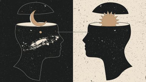 Adaptability and Self-Organizing: The New Imperative for HR Leaders