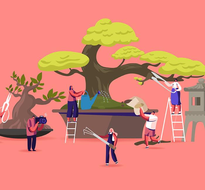 An illustration of several people collaboratively tending to oversized bonsai trees in large pots. Some individuals are trimming branches with oversized shears while others are watering, shaping, or photographing the trees. A stone lantern is placed on the right side, suggesting a Japanese garden setting. The background is a solid coral pink, giving the scene a clean, modern aesthetic.