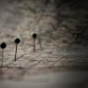 Photo of pins on a paper road map