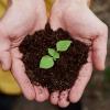 A close-up, top-down view of two cupped hands holding a mound of dark, rich soil with a small, vibrant green seedling growing in the center. The background is softly blurred, showing a hint of yellow clothing and earthy ground.